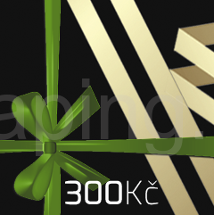Dárkový E-kupon 300Kč